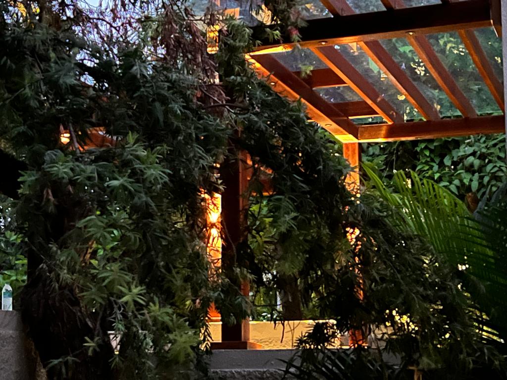 Illuminated Terrace Pergola